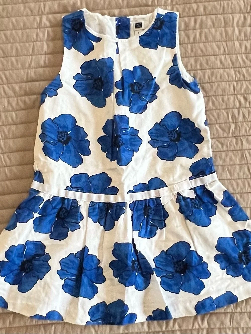Janie and Jack White Dress with Bold Blue Floral Print